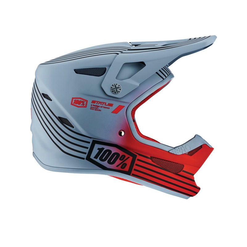 100% Status Youth Helmet Caltec