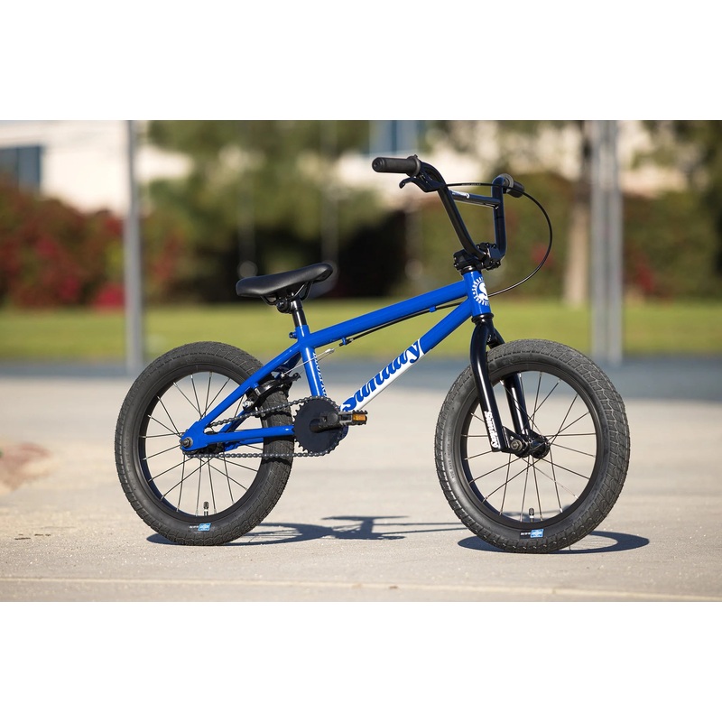 16″ Sunday blueprint