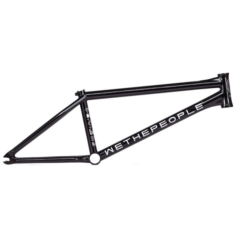 Wethepeople Network Frame (2022)