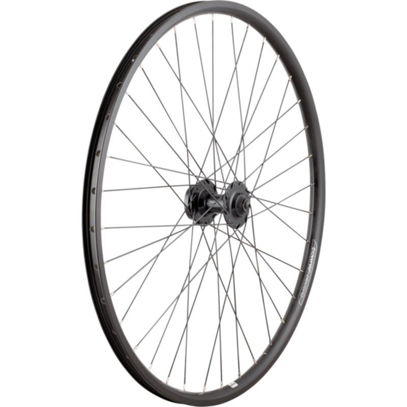 Electra Townie Go! 8D 26″ Wheel Front