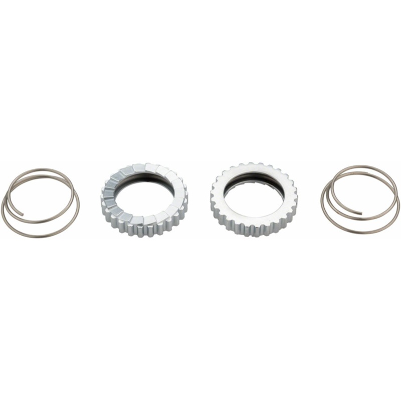 DT Swiss DT Swiss 18t Superlight Star Ratchet Kit: Includes Springs and Grease