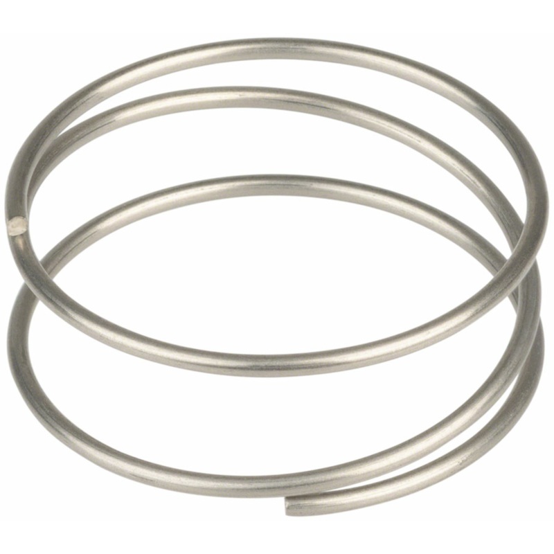 DT Swiss DT Swiss Driver Spring – Ratchet EXP
