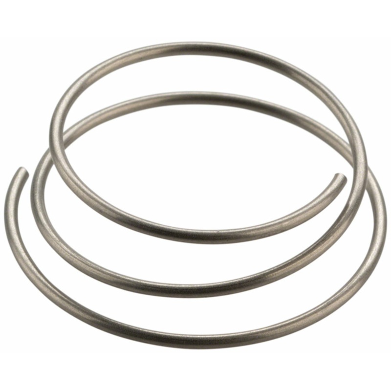 DT Swiss DT Swiss Star Ratchet Spring